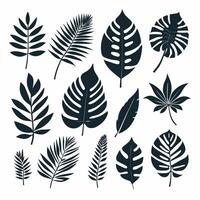 Exotic leaf set collection of tropical leaves silhouette vector