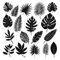 Exotic leaf set collection of tropical leaves silhouette vector