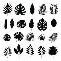 exótico hoja conjunto colección de tropical hojas silueta vector