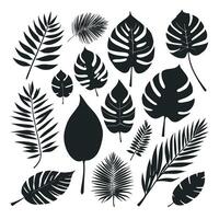 Exotic leaf set collection of tropical leaves silhouette vector