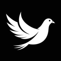 of Dove on Crisp White vector