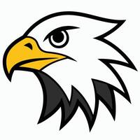 Eagle , Illustration in White Background vector