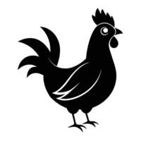 ilustración de pollo en blanco antecedentes vector