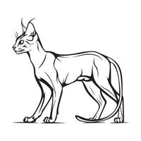 Abyssinian cat isolated on white background illustration Stock Image and Art vector