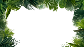 tropisk grön löv ram på transparent bakgrund png