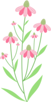 Rosa Blumen Rand png