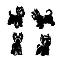 silhouette of dog on white background. vector