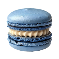 blu macaron . gustoso macaron dolce isolato. blu macaron superiore Visualizza . macaron piatto posare png