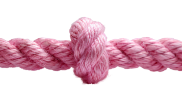 Pink rope with knot . Pink thick string with rope in the middle isolated. Shoe lace string . String top view . Pink rope flat lay png