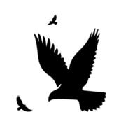 flying birds silhouette in white background vector