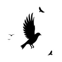 flying birds silhouette in white background vector