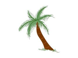 Cute hand drawn palm tree. Flat illustration isolated on white background. Doodle drawing. vector