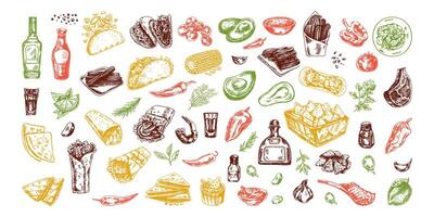 dibujado a mano de colores conjunto de realista mexicano platos y productos Clásico bosquejo dibujos de latín americano cocina. tinta ilustración. mexicano cultura. vector
