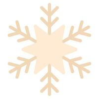Snowflake Icon Illustration, for web, app, infographic, etc vector