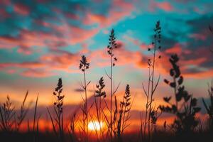 The silhouette of wild grasses stands out against the fiery hues of a sunset sky, evoking a peaceful end to the day photo