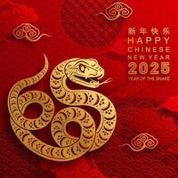 contento chino nuevo año 2025 el serpiente zodíaco firmar con flor,linterna,asiática elementos rojo papel cortar estilo en color antecedentes. vector