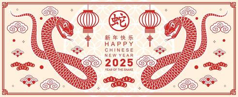 Happy chinese new year 2025 the snake zodiac sign with flower,lantern,asian elements red paper cut style on color background. vector