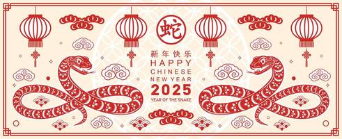 Happy chinese new year 2025 year of the snake with flower lantern asian elements red and gold traditional paper cut style on color background. vector