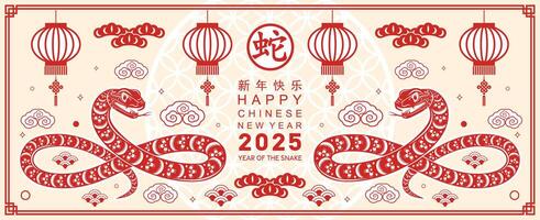 Happy chinese new year 2025 year of the snake with flower lantern asian elements red and gold traditional paper cut style on color background. vector