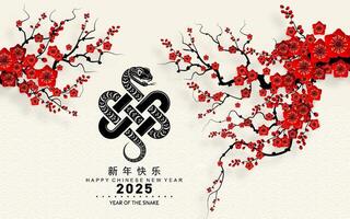 contento chino nuevo año 2025 año de el serpiente con flor linterna asiático elementos rojo y oro tradicional papel cortar estilo en color antecedentes. vector