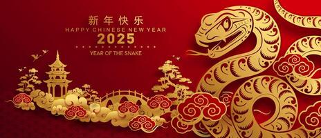 Happy chinese new year 2025 year of the snake with flower lantern asian elements red and gold traditional paper cut style on color background. vector