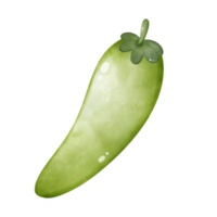 Illustration of green chili png