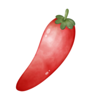 Illustration of red chili png