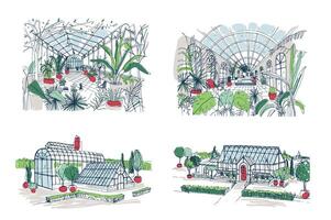 Collection of sketches of large greenhouses full of tropical plants. Set of rough drawings of glasshouses with palm exotic trees growing in pots. Inside and outside views. Colored illustration. vector