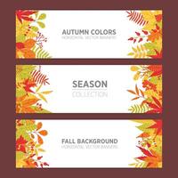 Collection of seasonal horizontal banner templates with bright colored autumn tree leaves or colorful foliage and branches on white background and place for text. Natural illustration. vector