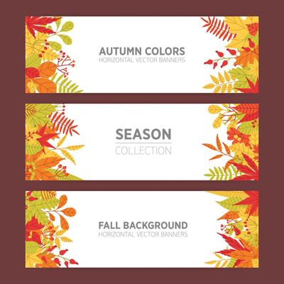 Collection of seasonal horizontal banner templates with bright colored autumn tree leaves or colorful foliage and branches on white background and place for text. Natural illustration.