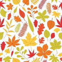 elegante sin costura modelo con caído otoño hojas de varios tipo y color en blanco antecedentes. otoñal fondo con vistoso follaje. ilustración para textil imprimir, envase papel. vector