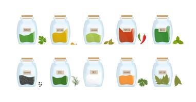 Collection of spices stored in clear closed jars isolated on white background. Bundle of spicy condiments, piquant cooking ingredients in transparent kitchen containers. Colorful illustration. vector