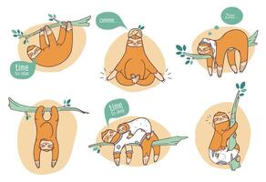 Collection of funny sloths in different postures. Lazy exotic animal sleeping, napping and relaxing on tropical tree branch. Cute cartoon character doing daily things. Colorful illustration. vector