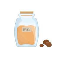 Ground nutmeg stored in clear jar isolated on white background. Piquant condiment, food spice, cooking ingredient in transparent kitchen container. Colored illustration. vector