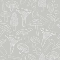 Edible mushrooms outline seamless pattern. Hand drawn fungi. Birch bolete, blewits, brown, champignon, shiitake, chanterelle, wrinkled. Contour illustration on gray background. vector