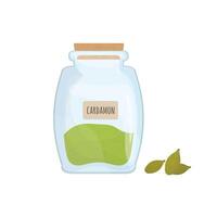 cardamono semillas almacenado en vaso tarro aislado en blanco antecedentes. aromático hierba, comida especia o condimento, Cocinando ingrediente en cerrado transparente envase. vistoso ilustración. vector