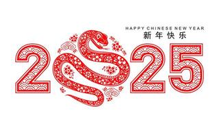 contento chino nuevo año 2025 el serpiente zodíaco firmar con flor,linterna,asiática elementos rojo papel cortar estilo en color antecedentes. vector