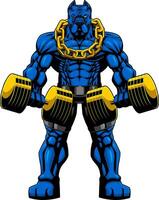 Muscular Blue PitBull Bodybuilder Mascot Doing Exercise With Dumbbells vector