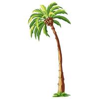 Palm tree isolated on white background vector