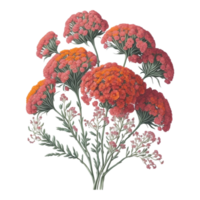 waterverf bloemen bloem ontwerp, waterverf bloem regelingen bloemen, waterverf bloem ontwerp, bloem sublimatie bloemen clip art, clip art, bruiloft decoratie png