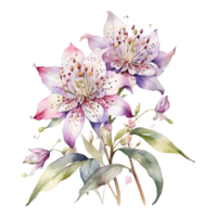 vattenfärg blommig blomma design, vattenfärg blomma arrangemang blommig, vattenfärg blomma design, blomma sublimering blommig ClipArt, ClipArt, bröllop dekoration png