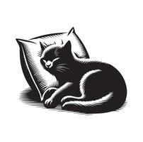 un gato dormido con almohada vector