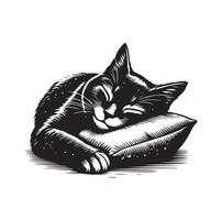 un gato dormido con almohada vector