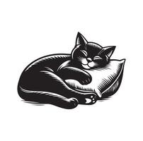 un gato dormido con almohada vector