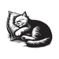 un gato dormido con almohada vector