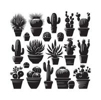 ilustración de conjunto de cactus vector