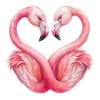 Two flamingos are facing each other creating a heart shape with their necks and heads against a solid-colored background. png