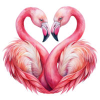 Two flamingos are facing each other creating a heart shape with their necks and heads against a solid-colored background. png