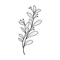 Hand drawn tree leaf twig floral element illustration vector