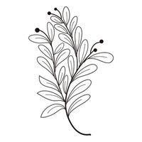 Hand drawn tree leaf twig floral element illustration vector